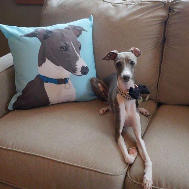 Custom Pet Couch Pillow with Cover