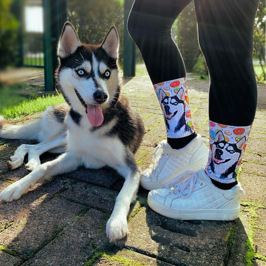 Custom Pet Socks