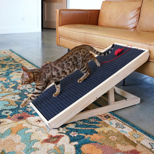 ScratchyRamp™